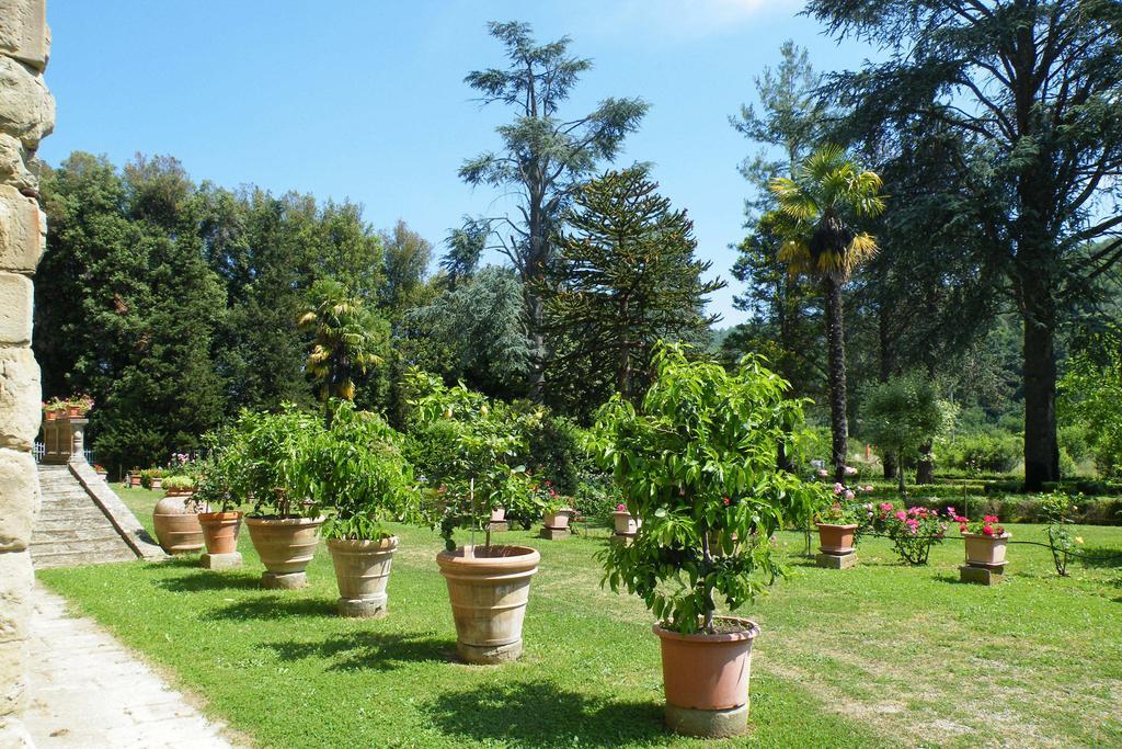 Гостьовий будинок Agriturismo Fattoria Di Gragnone Екстер'єр фото
